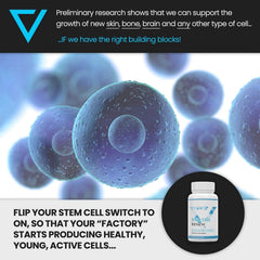 Vitality Now Stem Cell Renew packaging front ready to display.