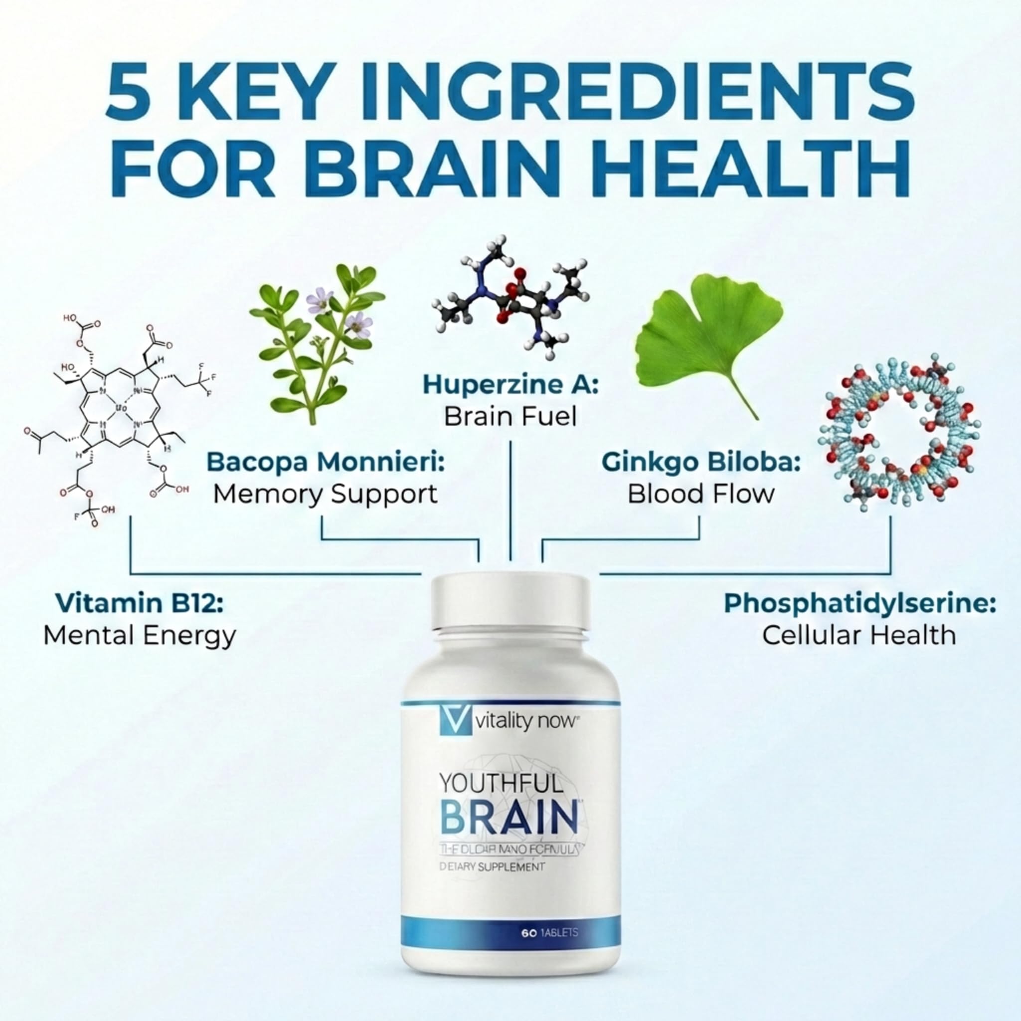 Vitality Now Youthful Brain Bacopa closeup highlights memory-support botanicals
