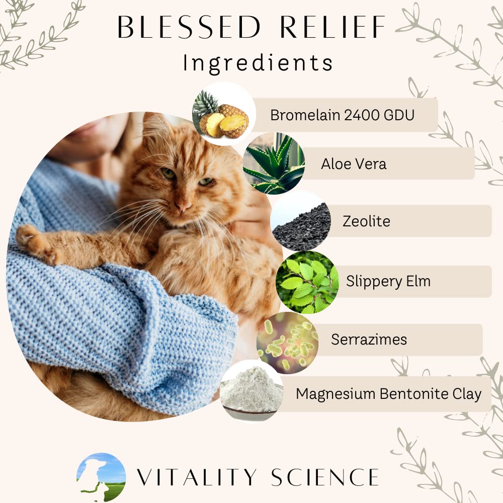 Vitality Science Blessed Relief cat packaging highlighting small-batch quality and purity.