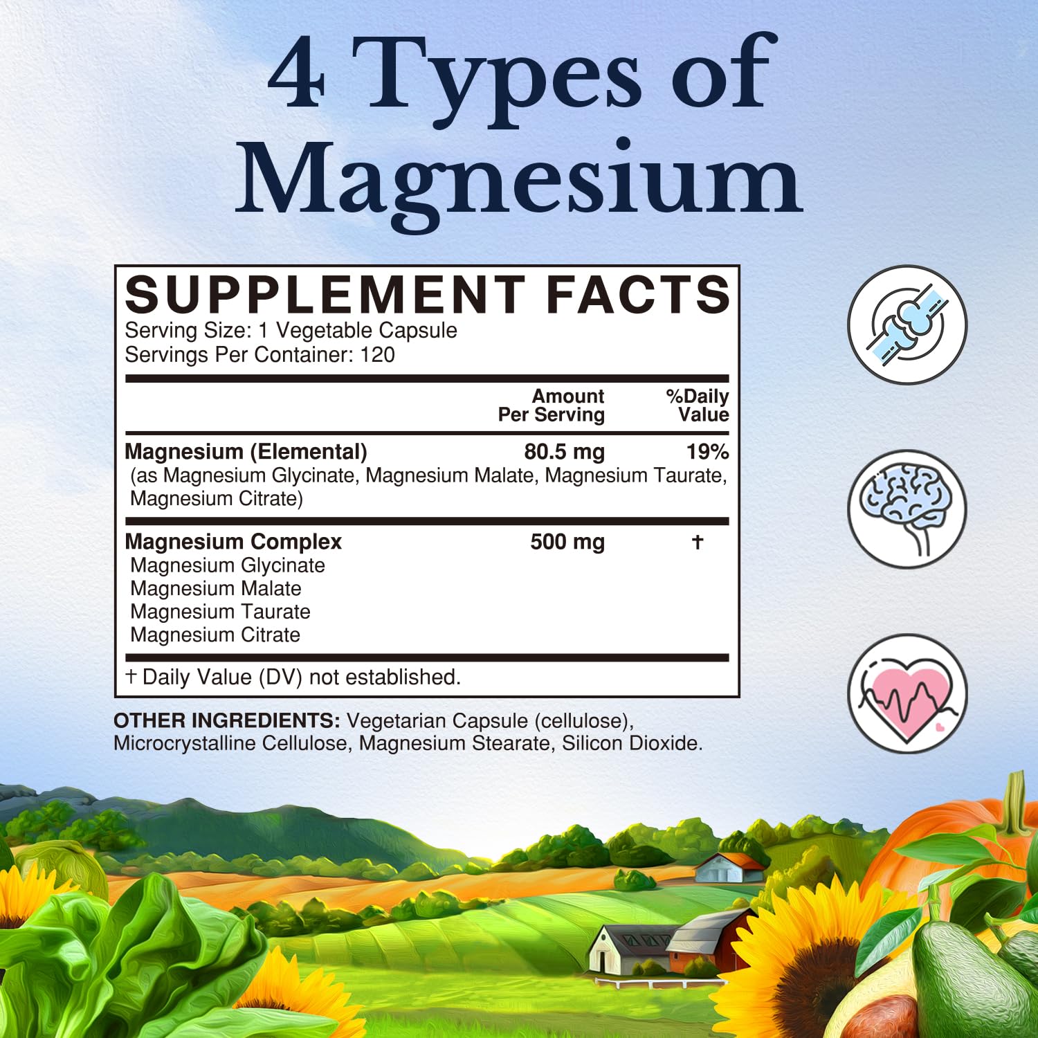 Vitalitown magnesium capsules close-up demonstrates gentle stomach tolerance