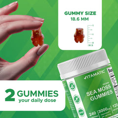 Gummies with bladderwrack and burdock root highlight blended sea moss formula.
