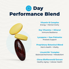 VitaMedica Prostate Health ingredients illustration showing key nutrients.
