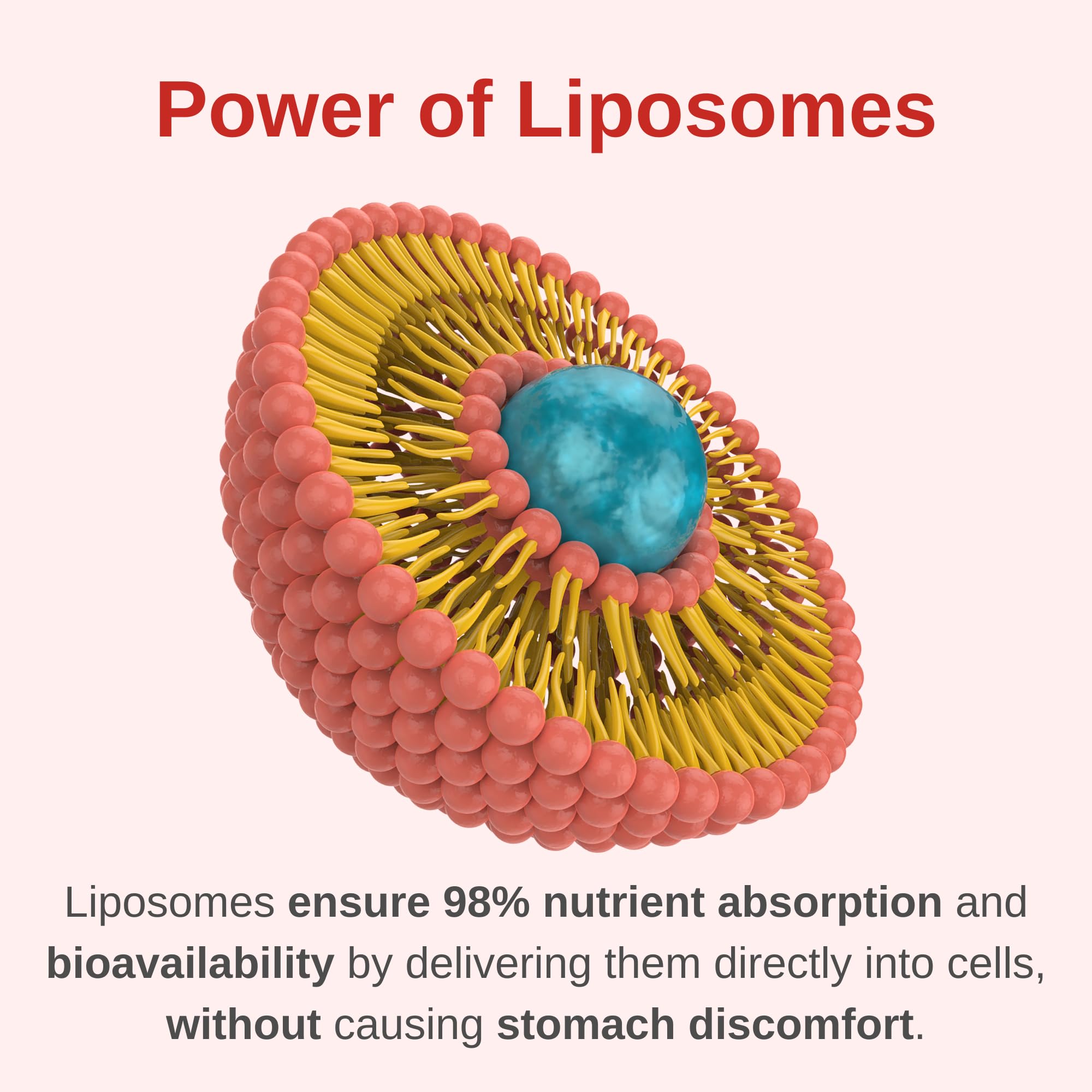Vitaminally Liposomal Prenatal drops being mixed in water for easy consumption.