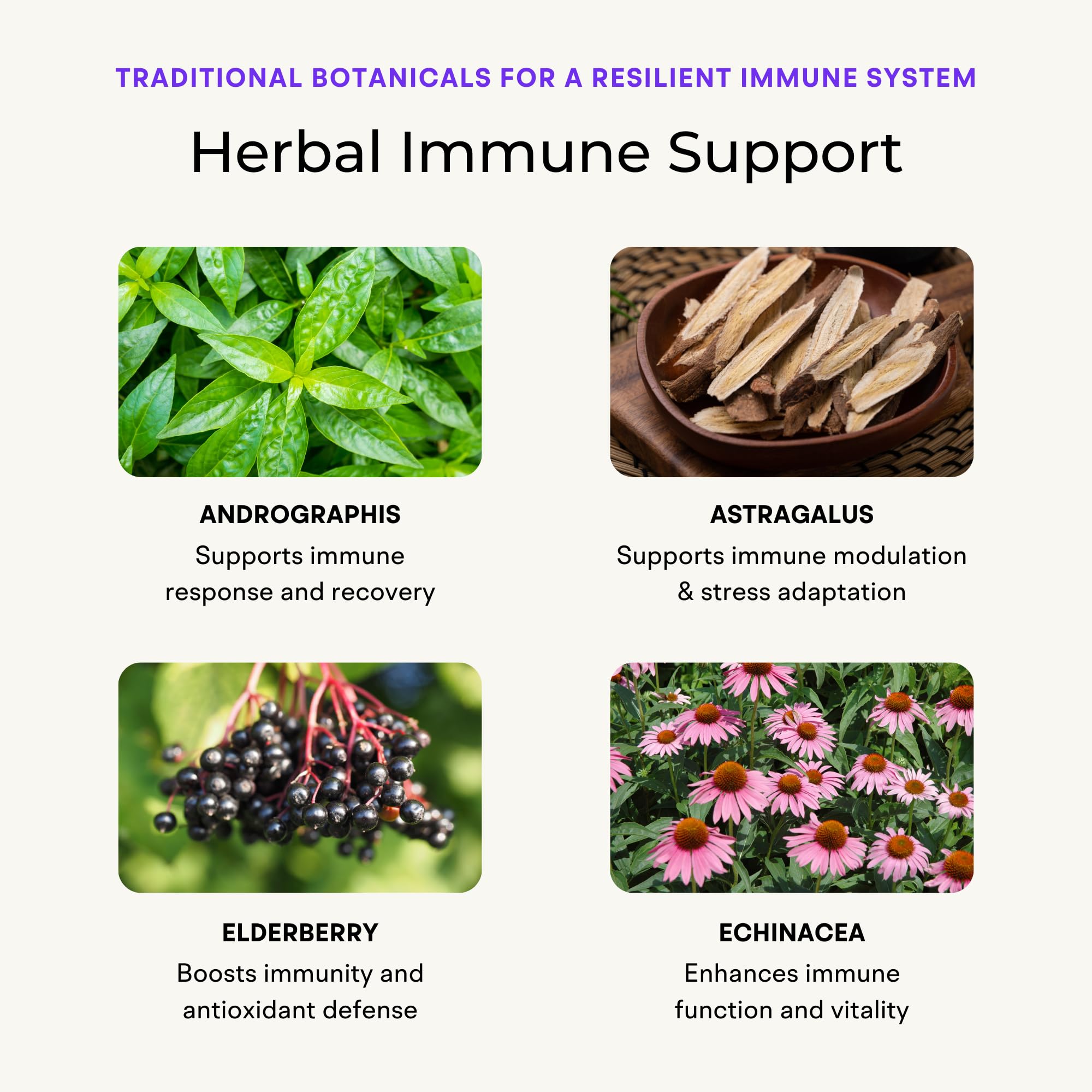 VitaminIQ Elderberry blend closeup highlighting natural immune-support ingredients