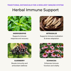 VitaminIQ Elderberry blend closeup highlighting natural immune-support ingredients