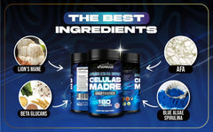Vitamisan Celulas Madre capsules close-up highlighting easy daily dose and plant-based nutrients.