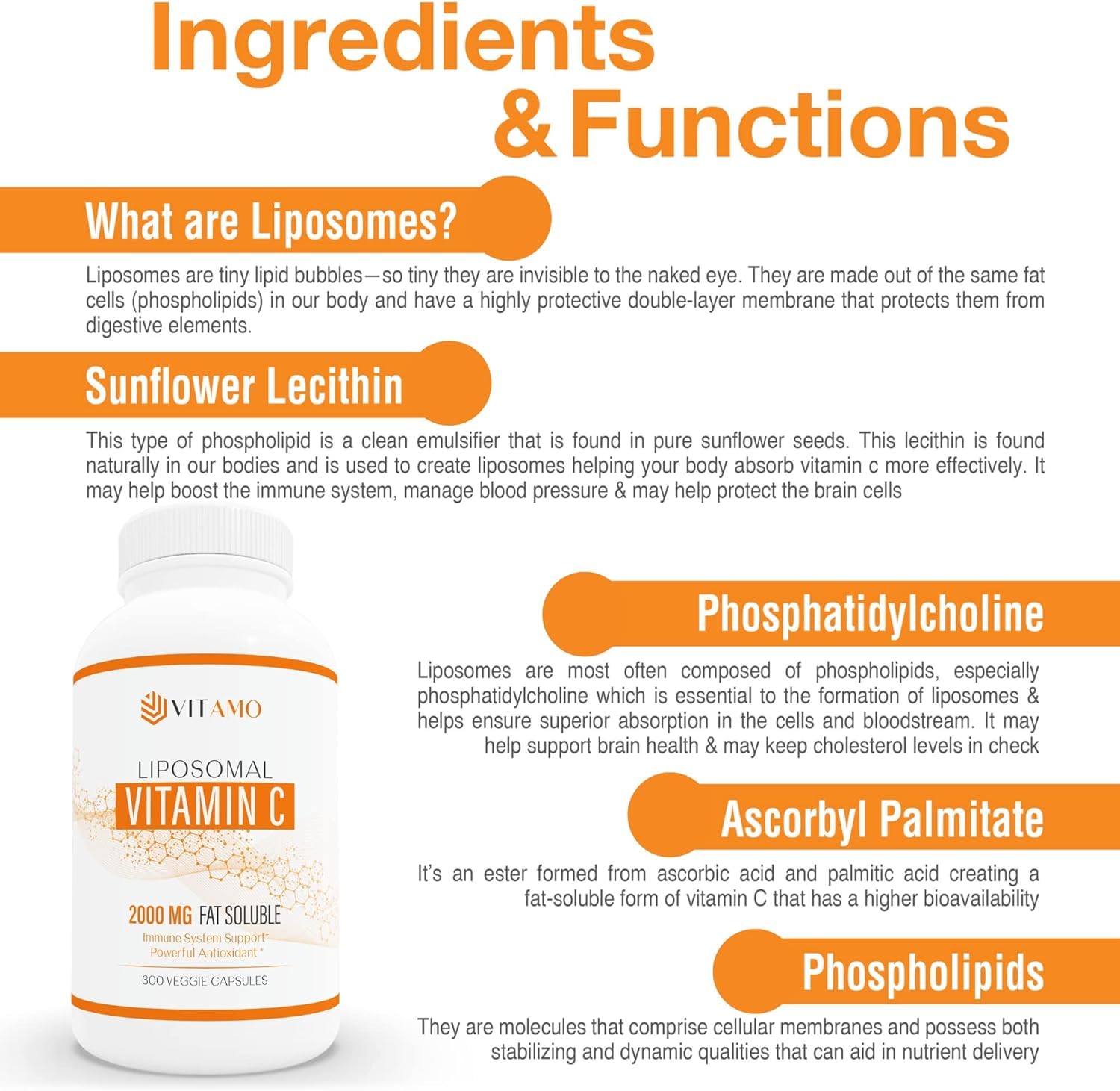 Illustration of Vitamo Liposomal Vitamin C 2000mg absorption pathway via liposome delivery.