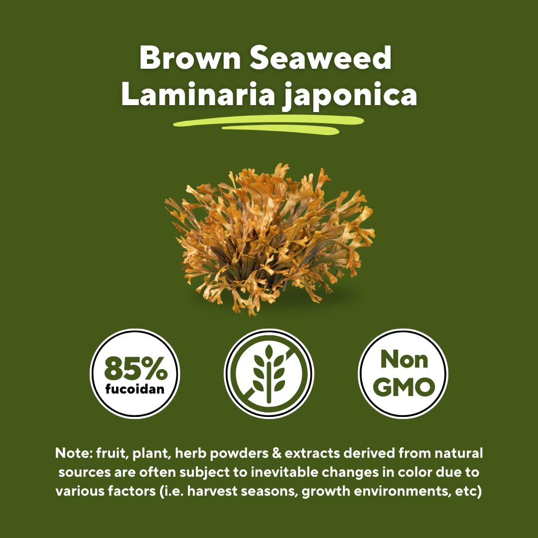 Graphic showing 85-percent fucoidan content for potent wellness benefits.
