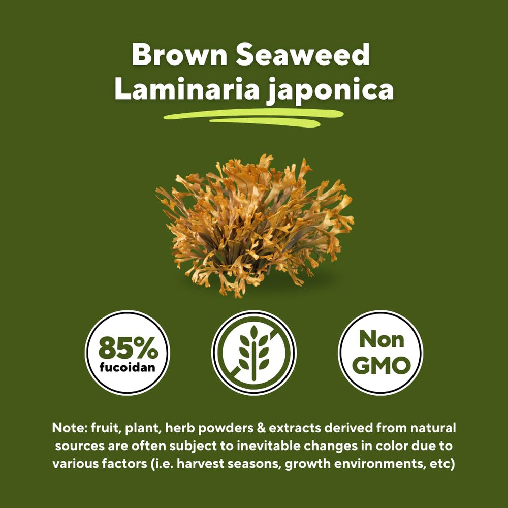 Graphic showing 85-percent fucoidan content for potent wellness benefits.