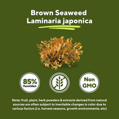 Graphic showing 85-percent fucoidan content for potent wellness benefits.