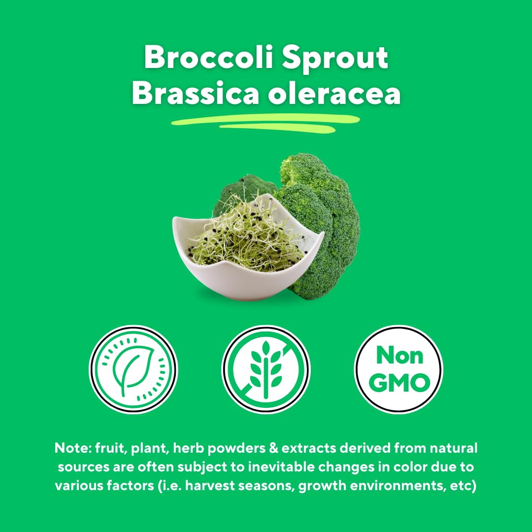 Vitapia broccoli sprout powder pour into drink for on-the-go wellness