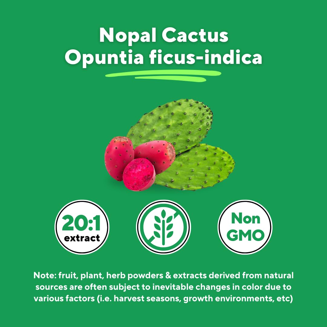 Vitapia Nopal Cactus Powder in a bowl ready for recipes and beverages.