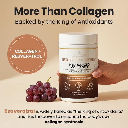 Collagen powder scoop beside the Vitasei jar for easy daily dosing.