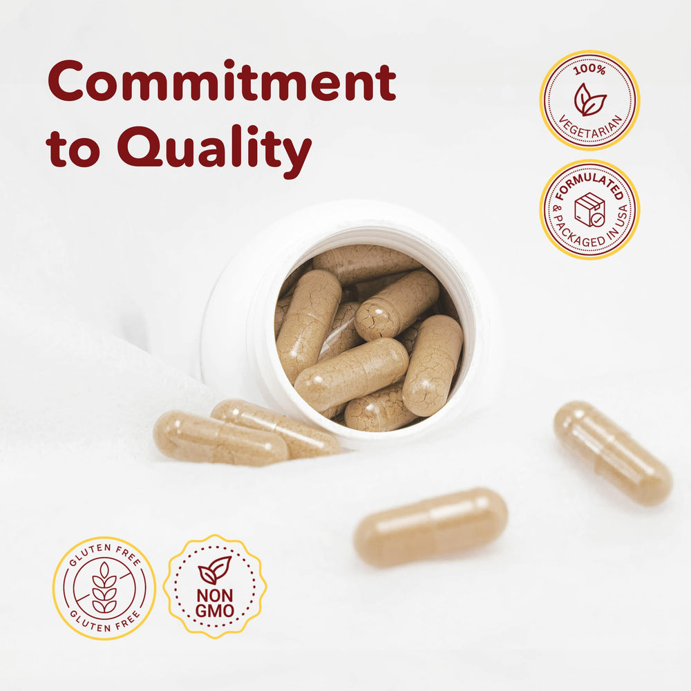 VITASUPPORTMD H Formula capsules featuring horse chestnut extract.