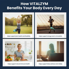 VITÄLZYM enteric-coated delivery for maximum absorption in the bloodstream