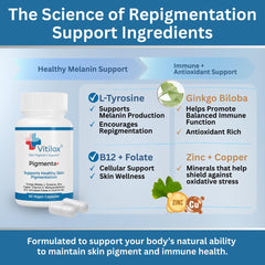 Vitilox Pigmenta+ daily routine scene implies consistent pigment support.