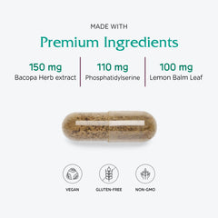 Vitanica MindBlend non-GMO herbs scene emphasizing natural, clean ingredients.