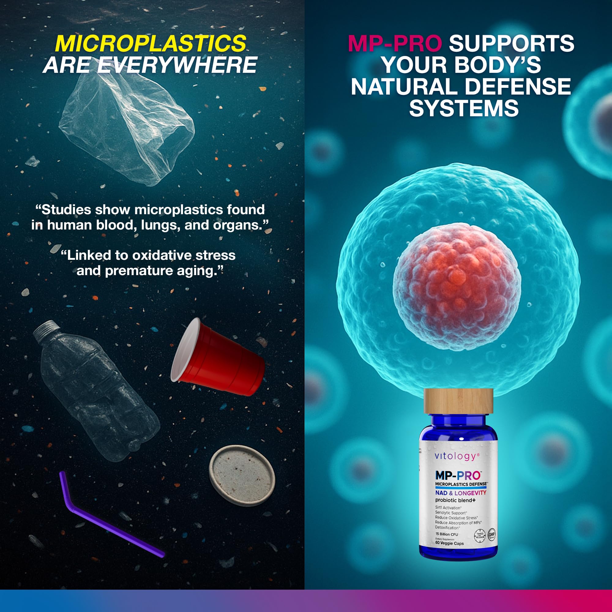 Vitology MP-PRO capsules in a dish highlighting probiotic blend and detox potential