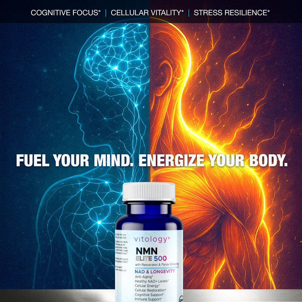 Vitology NMN Elite 500 vegan capsules packaging for daily use