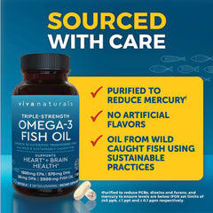 Viva Naturals Omega-3 serving dosage illustration for daily use.