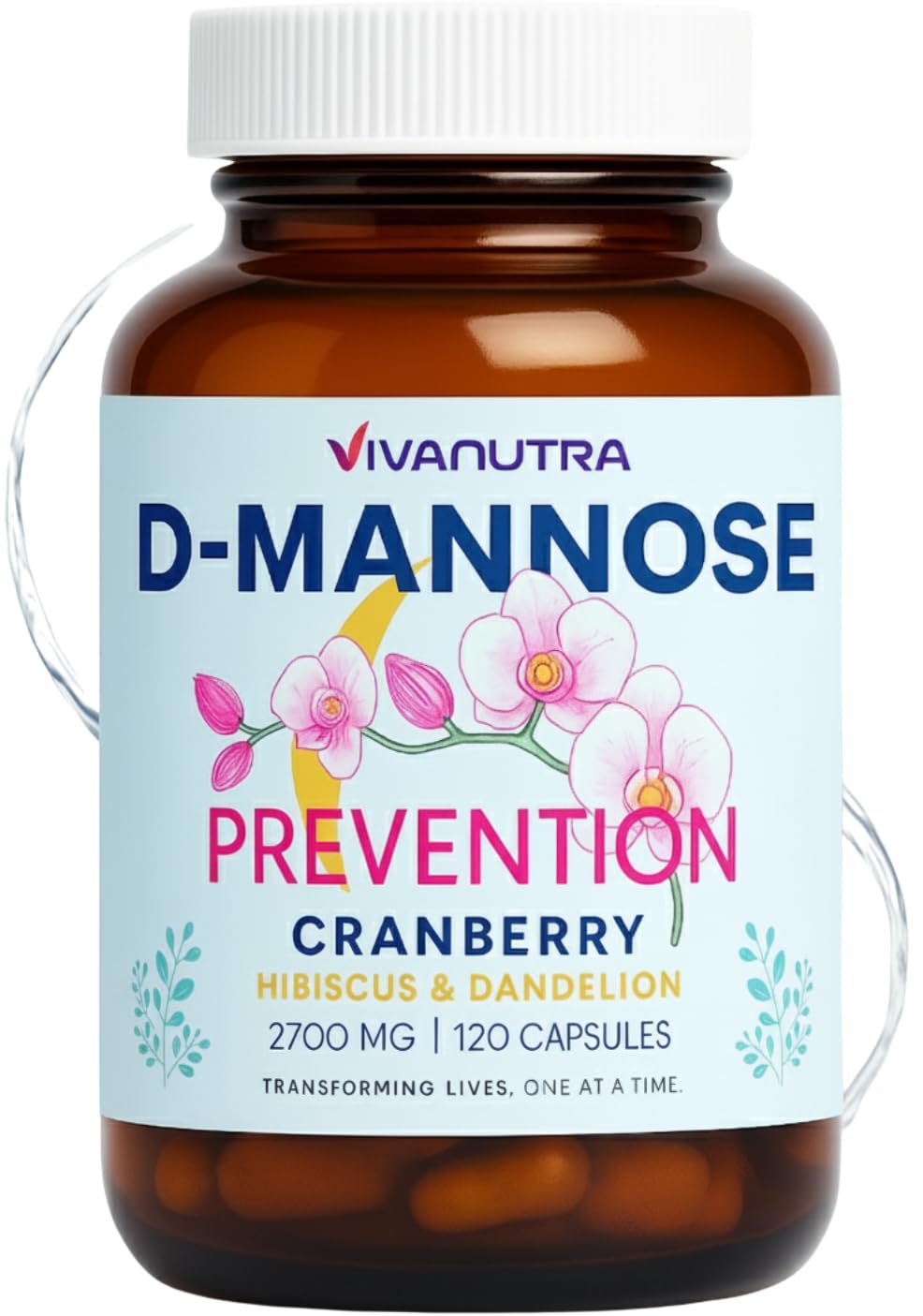 VIVANUTRA cranberry pills for women bottle promotes daily urinary wellness