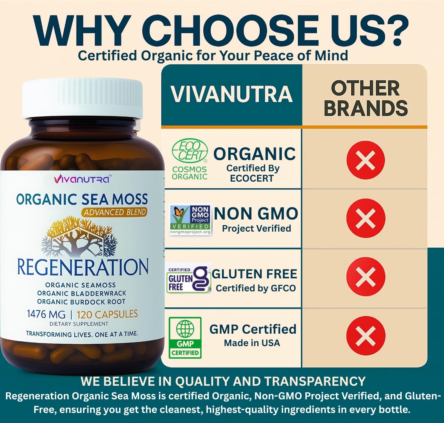 VIVANUTRA Sea Moss daily-dosing scene for easy routine.