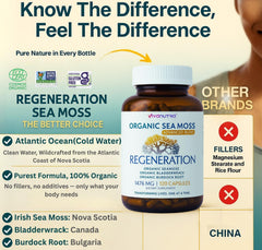 VIVANUTRA Sea Moss made in USA tag on GMP-certified facility.