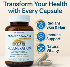 VIVANUTRA Sea Moss mineral-rich contents showing 92 minerals for vitality.