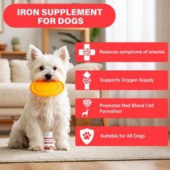 VivaElixir dog iron chewable tablets for convenient canine dosing