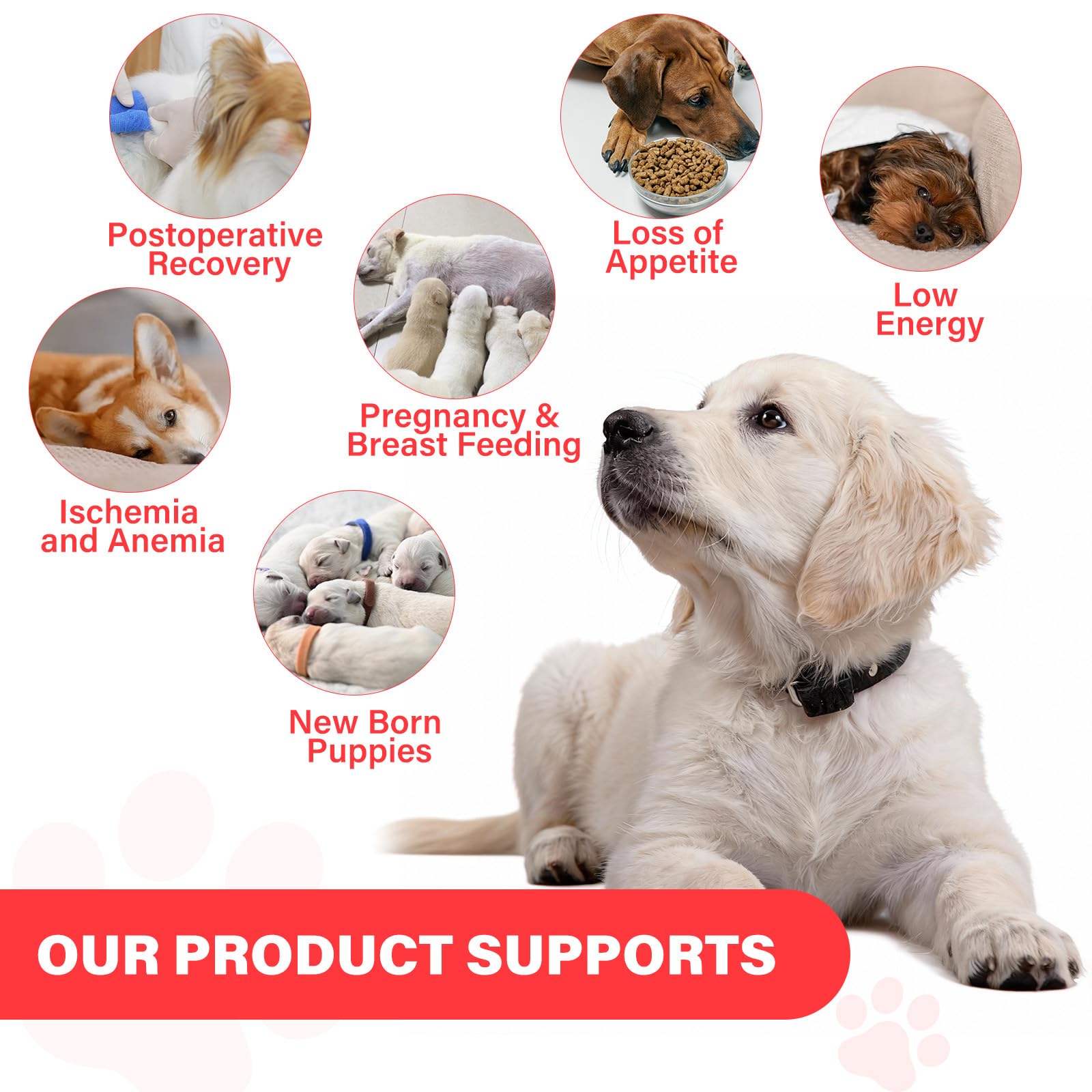 VivaElixir dog iron ingredients B12 folate and vitamins for balanced blood health