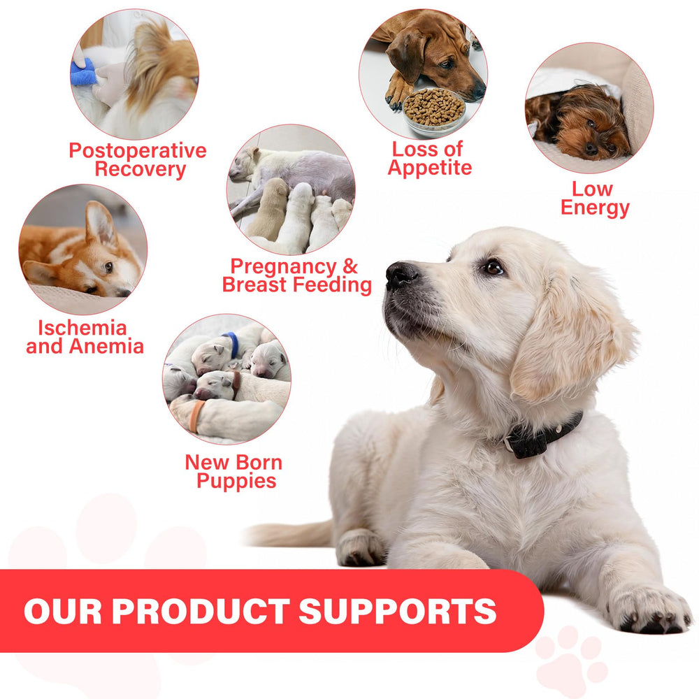 VivaElixir dog iron ingredients B12 folate and vitamins for balanced blood health
