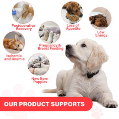 VivaElixir dog iron ingredients B12 folate and vitamins for balanced blood health