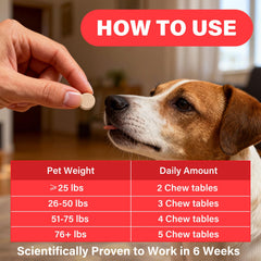 VivaElixir dog iron ingredients vitamin C beetroot CoQ10 for overall vitality