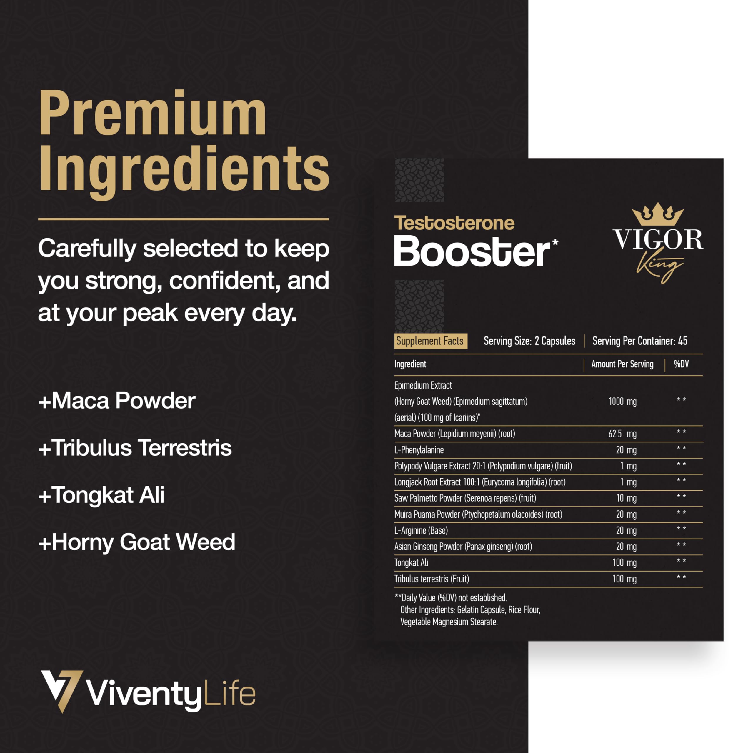 ViventyLife gym-travel-packaging setup conveys on-the-go use.