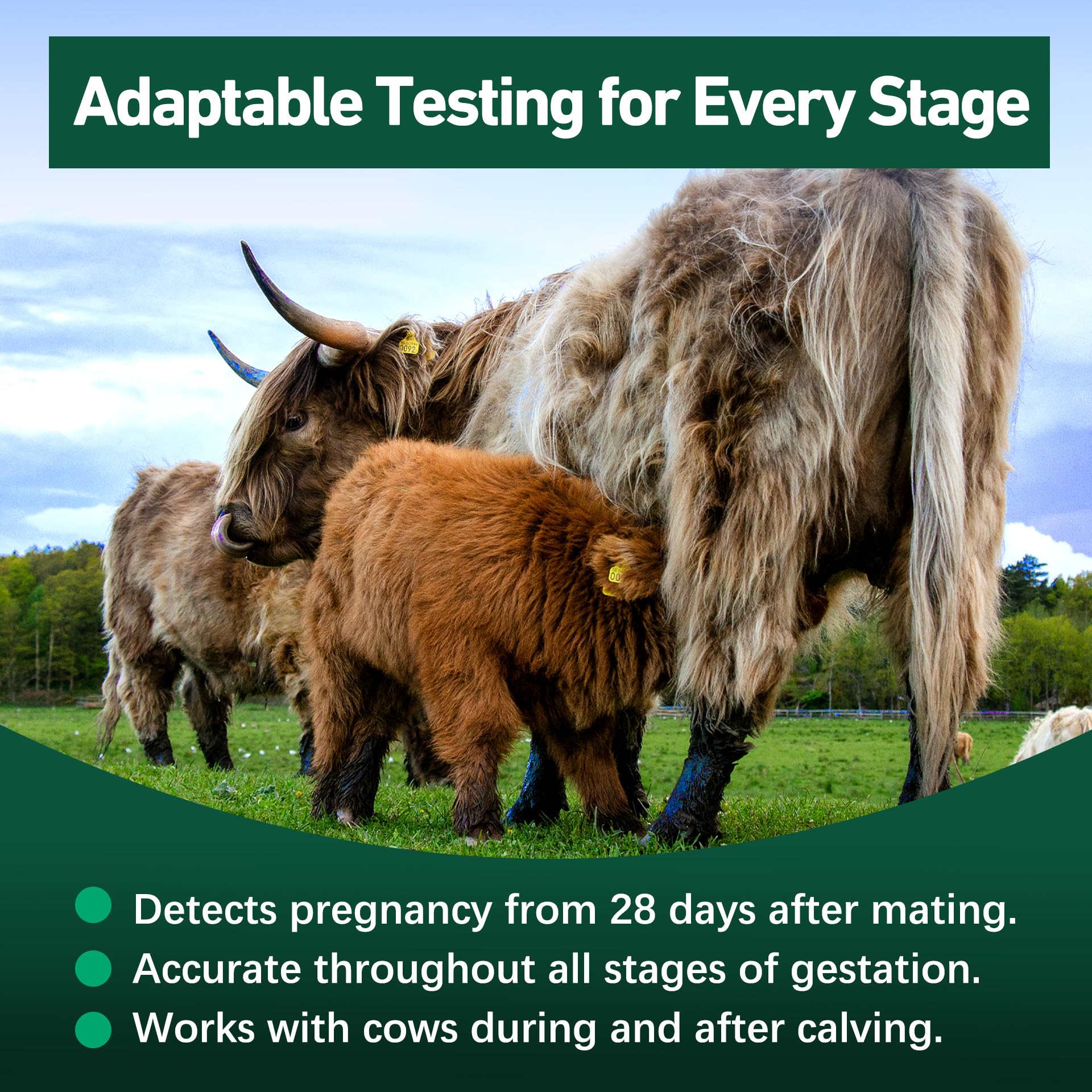On-farm rapid results displayed after using Vivometra test kit.