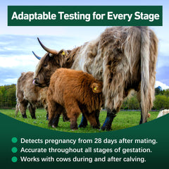 On-farm rapid results displayed after using Vivometra test kit.