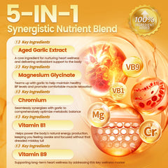 VivoNu magnesium chromium B1 B9 ingredients graphic emphasizes the synergistic nutrients.