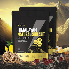 VivoNu Pure Himalayan Shilajit Gummies bottle for daily wellness on the go