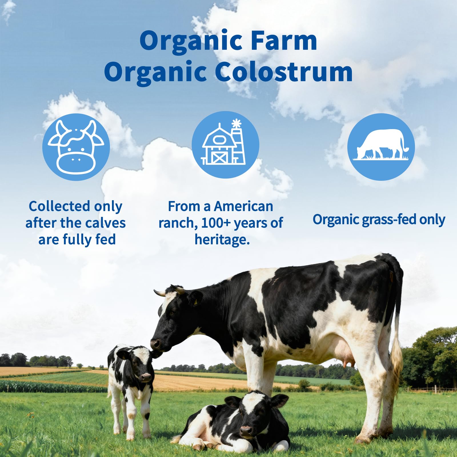 VNNIQ colostrum powder on scales; precise serving measurement for consistent daily intake.