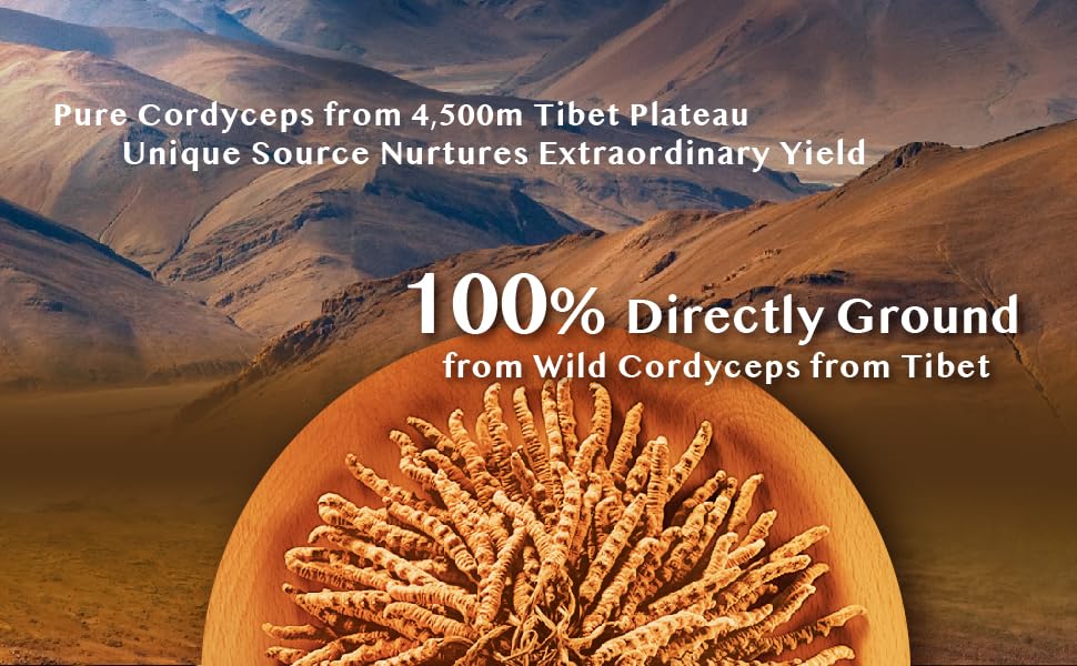 Wai Yuen Tong additive-free cordyceps capsules emphasize pure contents