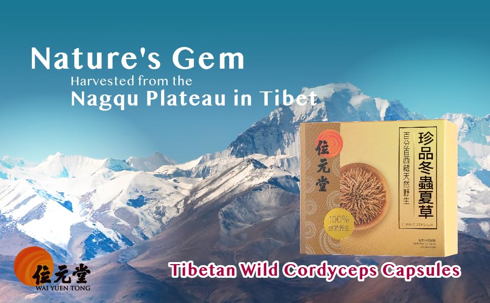 Wai Yuen Tong bottle shows traditional cordyceps roots for daily vitality