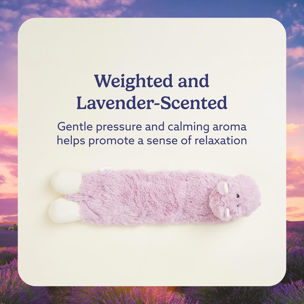 Close-up of lavender scent with dried lavender in Warmies Hippo wrap
