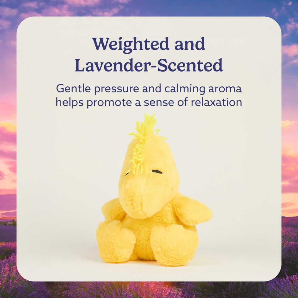 Warmies Woodstock cooling plush for cooling relief on hot days or after activity.
