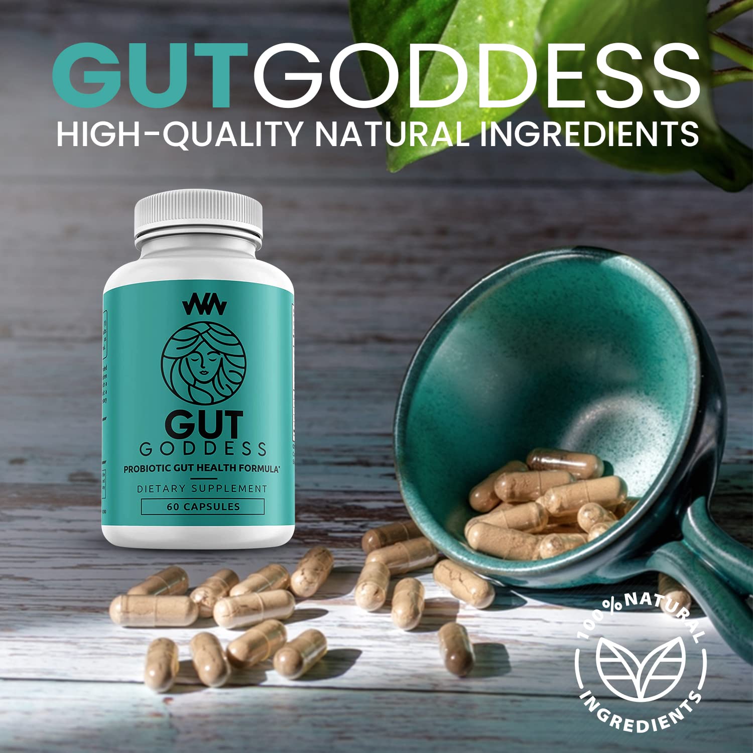 Warped Wellness lifestyle shot promoting calm, balanced daily routine.