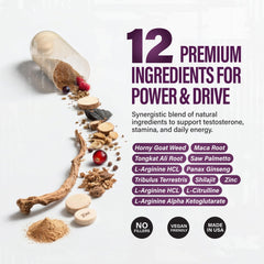 Lifestyle scene showing Warrior Protocol supporting all-day energy.