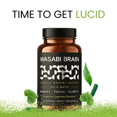 WASABI BRAIN closeup of ingredients emphasizing premium cognitive support components.