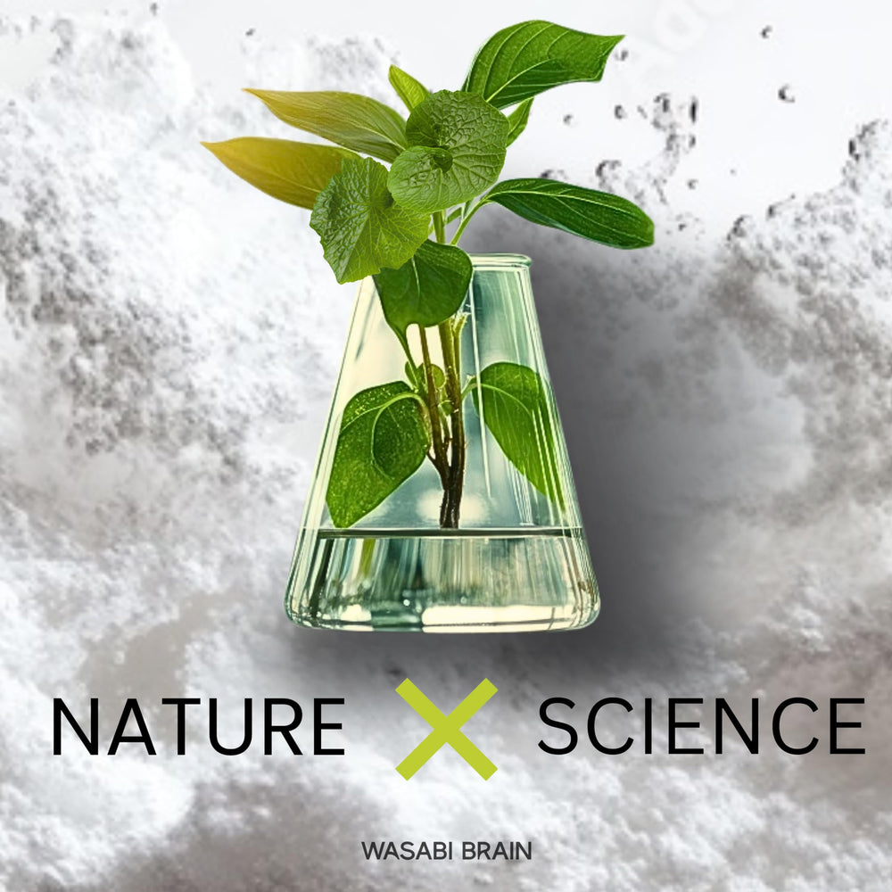 WASABI BRAIN recyclable bottle design supporting eco-conscious shoppers.