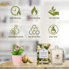 Wavertree & London candle lit, creating a cozy ambience.