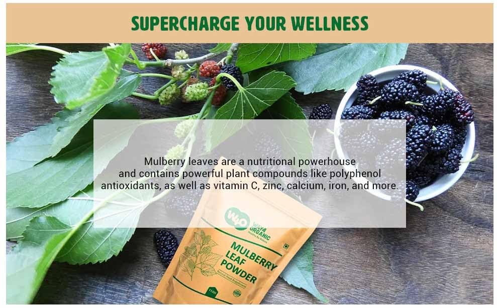Way4Organic Mulberry Leaf Powder yogurt topping adds natural flavor boost