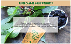 Way4Organic Mulberry Leaf Powder yogurt topping adds natural flavor boost